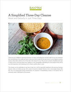 Simplified Three-Day Cleanse PDF